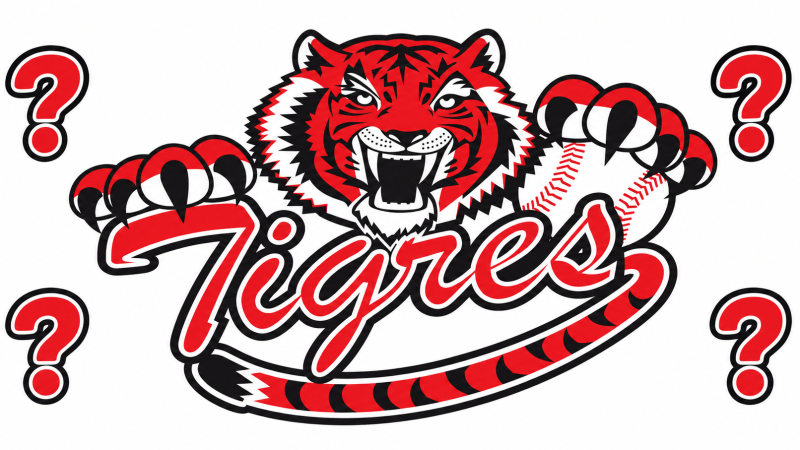 ¿QUÉ PASA CON LOS TIGRES DE CARTAGENA?